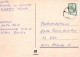 PÁJARO Animales Vintage Tarjeta Postal CPSM #PAN338.A - Vögel