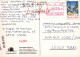 PÁJARO Animales Vintage Tarjeta Postal CPSM #PAN218.A - Vögel