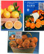 Lote De 11 Postales De  Naranjas Alguna Con Viñeta. - Lettres & Documents