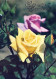 FLOWERS Vintage Postcard CPSM #PAS174.GB - Blumen