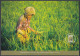 Indonesia 2000 Mint Postcard Paddy Picking Sumedang, West Java, Rice, Farming, Farm, Agriculture, Farmer, Woman - Indonesia