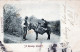 DONKEY Animals Children Vintage Antique Old CPA Postcard #PAA006.GB - Anes