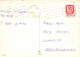 PERRO Animales Vintage Tarjeta Postal CPSM #PAN572.ES - Chiens