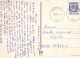 CHÈVRE Animaux Vintage Carte Postale CPSM #PBS614.FR - Autres & Non Classés