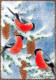 OISEAU Animaux Vintage Carte Postale CPSM #PBR512.FR - Pájaros