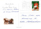 ENGEL WEIHNACHTSFERIEN Feiern & Feste Vintage Ansichtskarte Postkarte CPSM #PAH475.DE - Anges