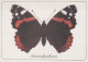 MARIPOSAS Animales Vintage Tarjeta Postal CPSM #PBS430.ES - Butterflies