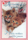 GATO GATITO Animales Vintage Tarjeta Postal CPSM #PBQ920.ES - Cats