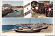 AFZP6-13-0488 - Souvenir De CAMARGUE Et Vue Panoramique - Arles