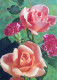 FIORI Vintage Cartolina CPSM #PAS058.IT - Flowers