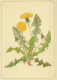 FIORI Vintage Cartolina CPSM #PAR337.IT - Fleurs