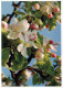 FLOWERS Vintage Ansichtskarte Postkarte CPSM #PBZ524.DE - Flowers