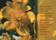 FLOWERS Vintage Ansichtskarte Postkarte CPSM #PBZ888.DE - Fleurs