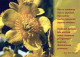 FLOWERS Vintage Ansichtskarte Postkarte CPSM #PBZ888.DE - Fleurs