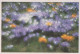 FLOWERS Vintage Ansichtskarte Postkarte CPSM #PBZ284.DE - Fleurs
