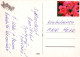 MAUS Tier Vintage Ansichtskarte Postkarte CPSM #PBR319.DE - Autres & Non Classés