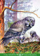 VOGEL Tier Vintage Ansichtskarte Postkarte CPSM #PBR643.DE - Oiseaux