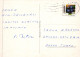 UCCELLO Animale Vintage Cartolina CPSM #PBR577.IT - Oiseaux