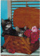 TEMATICA - CARTOLINA - GATTI - Chats