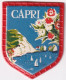 Chromo Plastifié Cafés Maurice Collection Voyage En Europe N° A 29 Capri - Tea & Coffee Manufacturers
