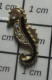 815A  Pin's Pins / Beau Et Rare / ANIMAUX / PETIT HIPPOCAMPE METAL JAUNE EMAIL NOIR ET "BRILLANTS" - Animaux