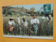 Delcampe - COTE D'AZUR -- Lot De 5 Cartes Différentes - Cueillette Des Violettes (2) - Jonquilles - Tubéreuses - Niçoise En Costume - Cultivation