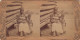 1890 Woman Breast Feeding A Baby Stereoview Photo George Barker Niagara Falls NY - Stereoscopes - Side-by-side Viewers