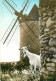 Animaux - Chèvres - Provence - Le Moulin De Alphonse Daudet Et La Chèvre De Mr Seguin - Mention Photographie Véritable - - Autres & Non Classés