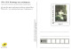 *CPM  Entier Postal - Hommage Aux Combatants - Carte Rééditée Par La Poste - CPA Allemande 14-18 - Pré Timbrée Monde 20g - Poste & Facteurs