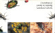 Israel 1994 Beetles Booklet, Mint NH, Nature - Insects - Stamp Booklets - Neufs (avec Tabs)