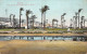 Israel - HAIFA - View Of The City From The Palm Gardens - Publ. Struve & Beck 76844 - Israel