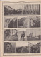 Delcampe - Série De 58 Photographies Guerre 14/18-différents Thèmes - Voir Scans - - Andere & Zonder Classificatie