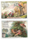 S 651, Liebig 6 Cards, Aus Der Vogelwelt  (German)  (ref B15) - Liebig