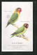 AK Red-Faced With Black-Cheeked, Feed On Capern`s Perfectly Clean Budgerigar Seed, Vogel  - Birds