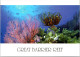 19-5-2024 (5 Z 31) Australia - QLD - Great Barrier Reef (UNESCO) Fish (2 Postcards) - Poissons Et Crustacés