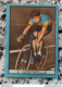 Bh Figurina Cartonata Nannina Cicogna Ciclismo Cycling Anni 50 G.gasparella - Catalogus