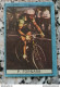 Bh Figurina Cartonata Nannina Cicogna Ciclismo Cycling Anni 50 P.fornara - Catalogues