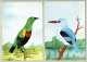 Mozambique 1987, Bird, Birds, Postal Stationery, Kingfisher, Set Of 6v, Pre-Stamped Post Card, MNH** - Sonstige & Ohne Zuordnung