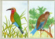 Delcampe - Mozambique 1987, Bird, Birds, Postal Stationery, Kingfisher, Set Of 6v, Pre-Stamped Post Card, MNH** - Sonstige & Ohne Zuordnung