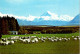 19-5-2024 (5 Z 35) New Zealand - Mt Cook  (2 Postcard) - Neuseeland