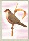 St. Thomas And Prince Islands, Bird, Birds, Postal Stationery, 1v, Pre-Stamped Post Card, MNH** === Short Set === - Sonstige & Ohne Zuordnung
