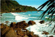 19-5-2024 (5 Z 35) New Zealand - Maybille Bay - Nuova Zelanda