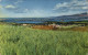 72482891 Pearl_Harbor Panorama - Sonstige & Ohne Zuordnung