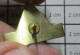 613e Pin's Pins / Beau Et Rare / THEME : ANIMAUX / CHIENS GUIDES DES FLANDRES - Animaux
