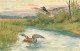 Illustration  - Theme Oiseaux Canard Chasse  Q 2628 - Oiseaux