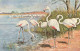 Animaux Flamant Rose   Q 2628 - Oiseaux