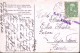 1913-Austria HANDERDOLF (26.7) E Lineare K.u.K. Villach, Su Cartolina Illustrata - Autres & Non Classés