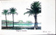 1902-Segnatasse C.5 E 10 Apposti A Venezia (29.5) Su Cartolina Egitto (Village D - Autres & Non Classés
