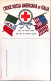 1918-CROCE ROSSA AMERICANA In ITALIA Tipografia STAB. P. CASETTI Et C. ROMA,nuov - Red Cross
