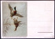 1935-cartolina Pubblicitaria Prodotti Esplodenti,insignificante Forellino Nella  - Publicité